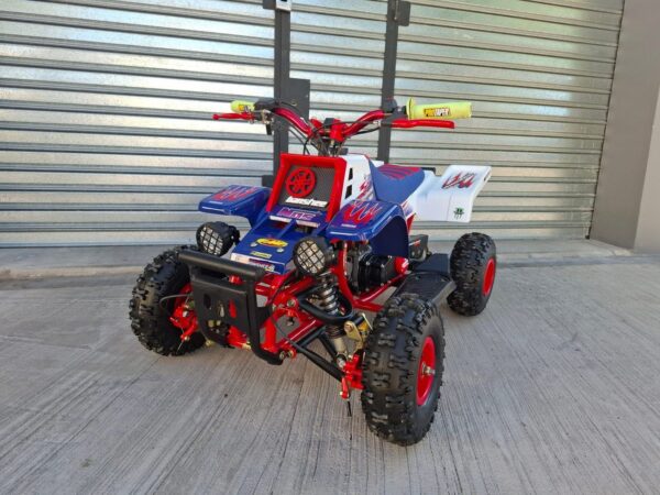 Best 49cc Gas Powered Mini Banshee for Kids