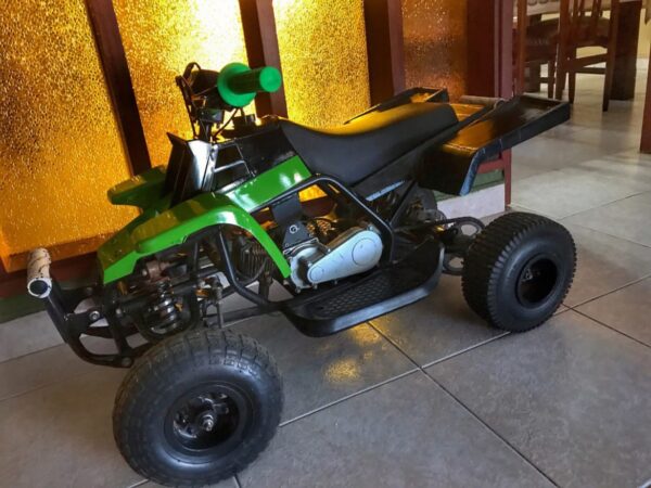 Best Kids 49cc Mini Banshee