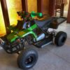 Best Kids 49cc Mini Banshee