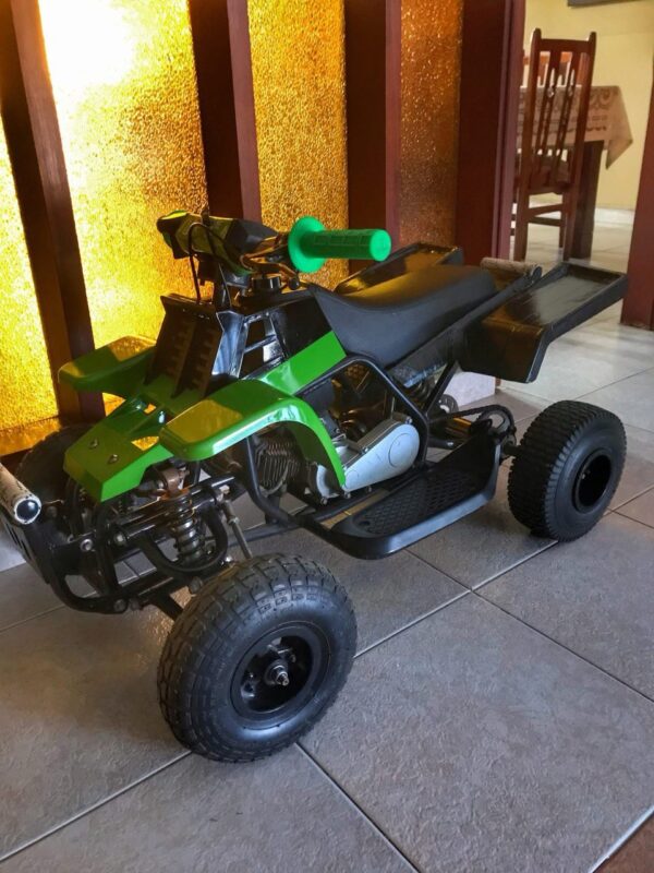 Best Kids 49cc Mini Banshee