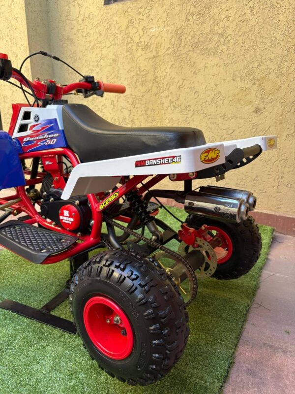 Best Mini 49cc Kids Banshee