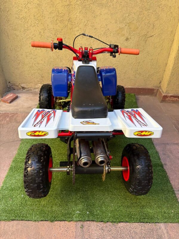 Best Mini 49cc Kids Banshee