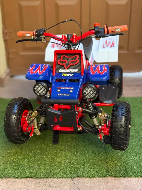 Best Mini 49cc Kids Banshee