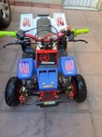 49cc Gas Banshee for Kids - Image 5