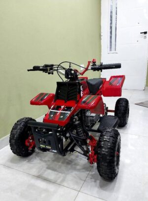 Best 49cc Mini Banshee Quad