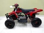 49cc Mini Banshee Quad - Image 4