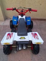 49cc Gas Powered Banshee - Image 4