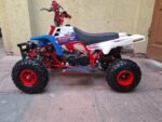 49cc Gas Powered Banshee - Image 5