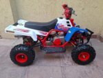 49cc Gas Powered Banshee - Image 6