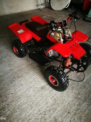 Best 49cc Kids Banshee