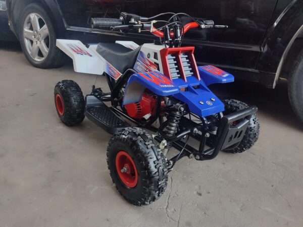 Best 49cc Gas Powered Banshee Bike for Kids