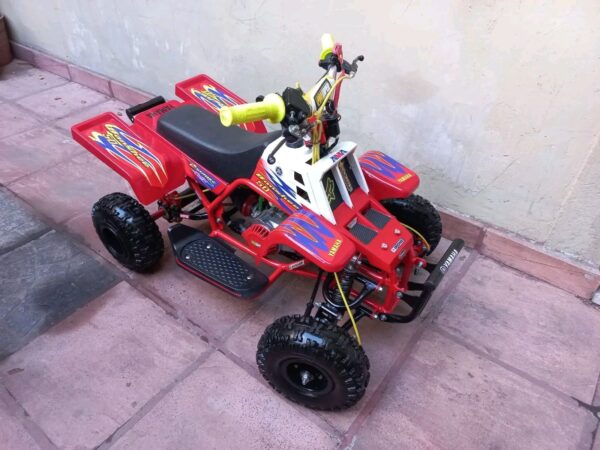 Best Kids 49cc 2-Stroke Banshee