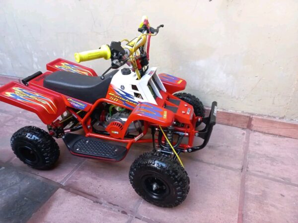 Best Kids 49cc 2-Stroke Banshee