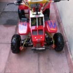 Kids 49cc 2-Stroke Banshee