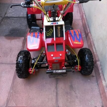 Kids 49cc 2-Stroke Banshee