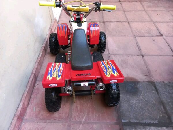 Best Kids 49cc 2-Stroke Banshee