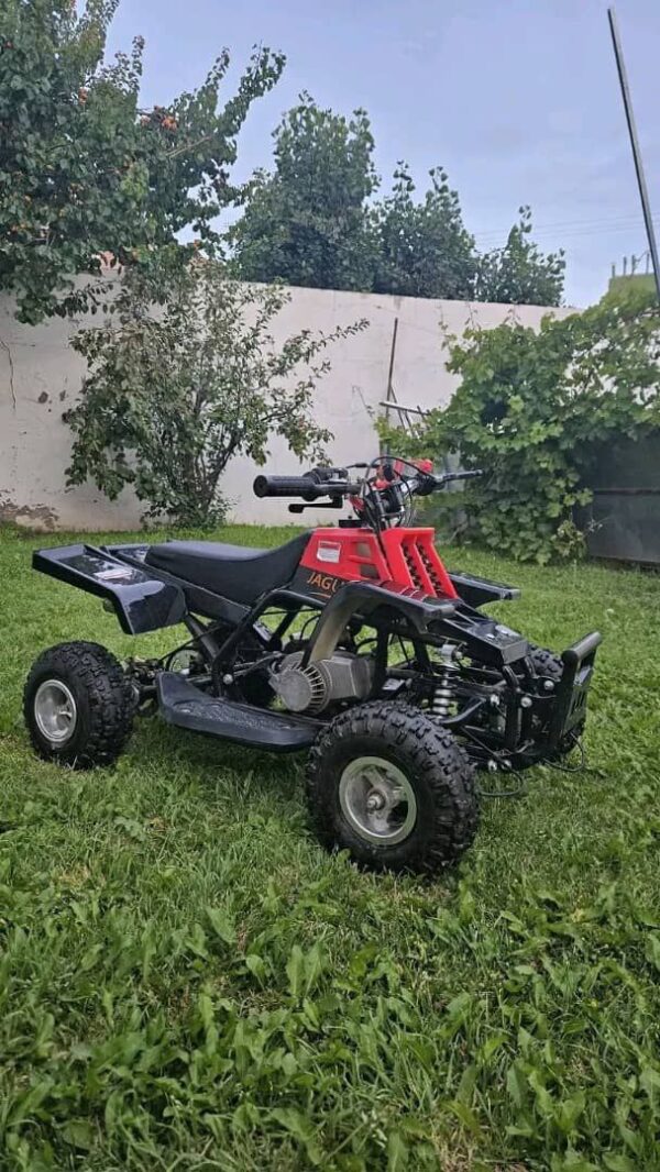Best Buy 49cc Kids ATV