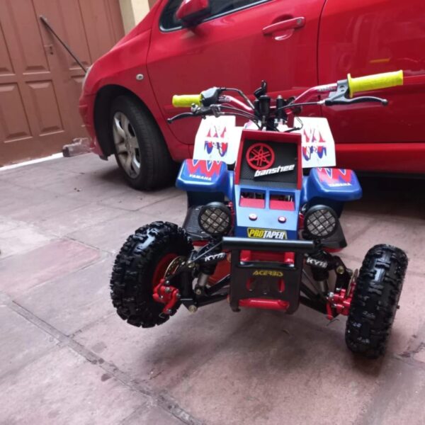 photo_6010447203790867674_y.jpg Best Kids 49cc Banshee