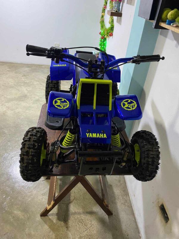 Best 49cc Banshee Mini ATV for Kids