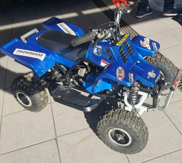 Best 49cc Gas Powered Kids Banshee