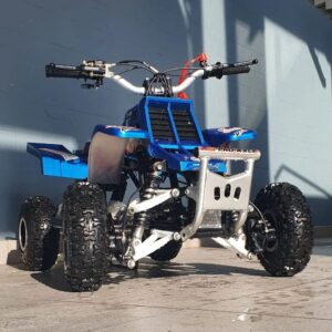 Best 49cc Gas Powered Kids Banshee