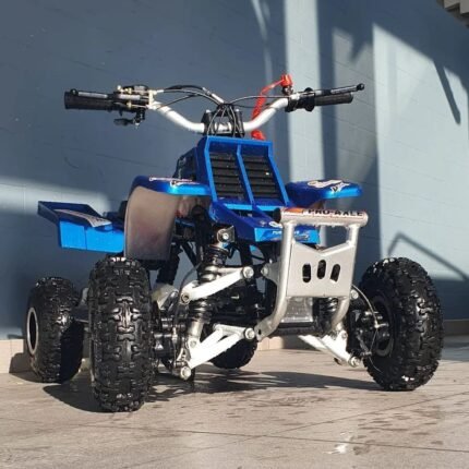 49cc Gas Powered Kids Banshee