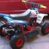 Best Buy 49cc Gas Powered Kids Quad