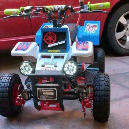49cc Gas Powered Kids Quad