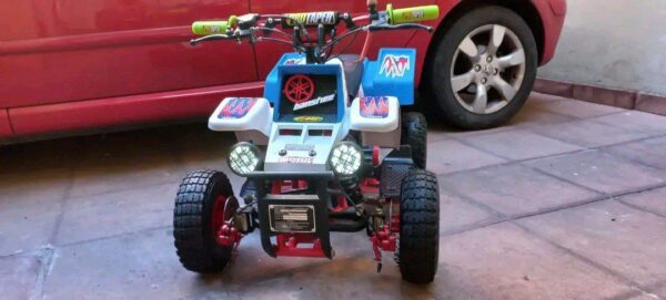Best Buy 49cc Gas Powered Kids Quad