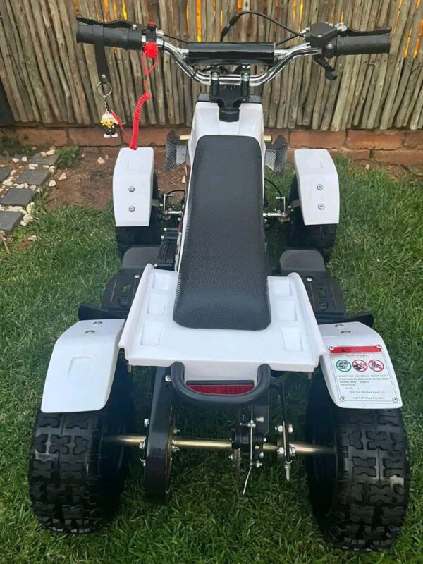 Best 49cc Mini Banshee Quad for Kids