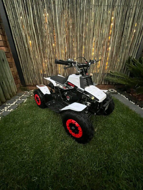 Best 49cc Mini Banshee Quad for Kids