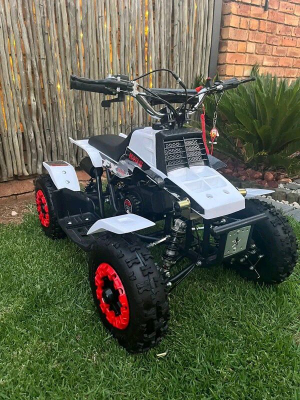 Best 49cc Mini Banshee Quad for Kids