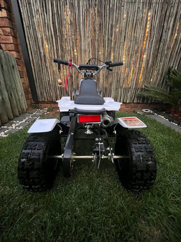 Best 49cc Mini Banshee Quad for Kids