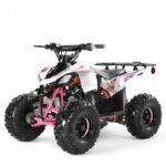 Coolster 125cc R2 Kids ATV - Image 9