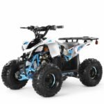 Coolster 125cc R2 Kids ATV - Image 5