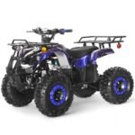 Coolster 125cc R3 Kids ATV - Image 12