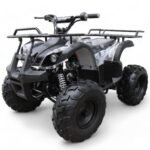 Coolster 125cc R1 Kids ATV - Image 4
