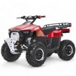 Coolster 125cc Mammoth Kids ATV - Image 11