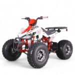 TaoMotor 125 Cheetah DLX Kids ATV - Image 8