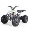TaoMotor 125 Cheetah DLX Kids ATV