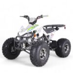 TaoMotor 125 Cheetah DLX Kids ATV - Image 6