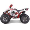 TaoMotor 125 Cheetah DLX Kids ATV