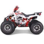 TaoMotor 125 Cheetah DLX Kids ATV - Image 5