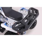 TaoMotor 125 Cheetah DLX Kids ATV - Image 2