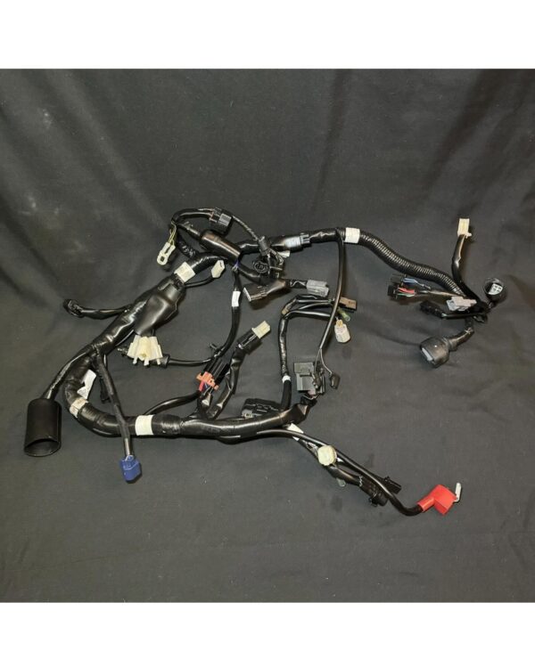 Wiring harness Kawasaki Z125 Pro 18 z 125 17-22 OEM 2017 2018 2019 2020