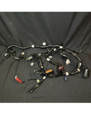 Wiring harness Kawasaki Z125 Pro 18 z 125 17-22 OEM 2017 2018 2019 2020