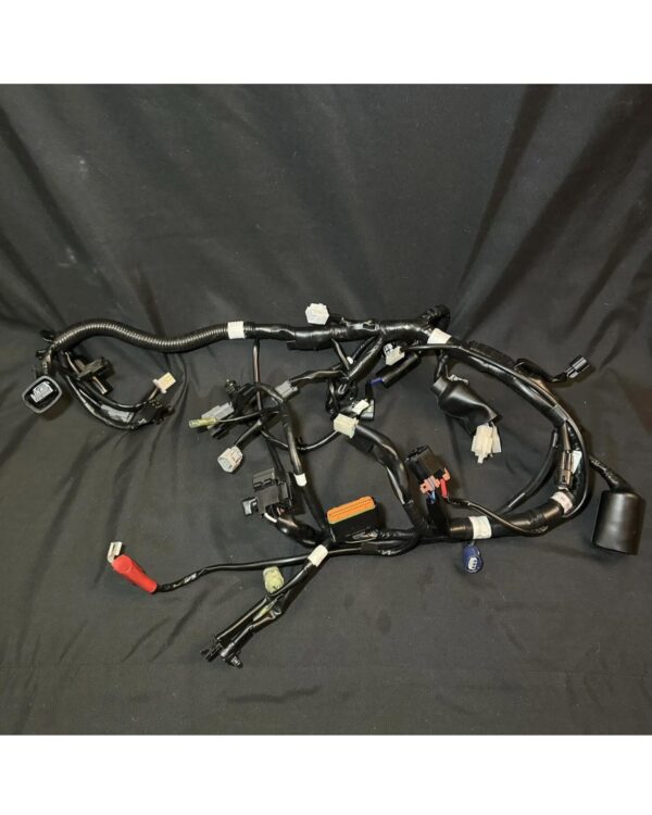 Wiring harness Kawasaki Z125 Pro 18 z 125 17-22 OEM 2017 2018 2019 2020