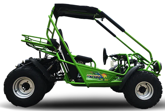 Trailmaster Eagle 200XRS Buggy / Go Kart Full Size Youth and Adult cart ages 13 and up. Off road High Torque Higher Reveving Motor