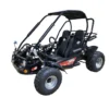 Trailmaster Eagle 200XRS Buggy / Go Kart Full Size Youth and Adult cart ages 13 and up. Off road High Torque Higher Reveving Motor