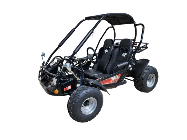 Trailmaster Eagle 200XRS Buggy / Go Kart Full Size Youth and Adult cart ages 13 and up. Off road High Torque Higher Reveving Motor